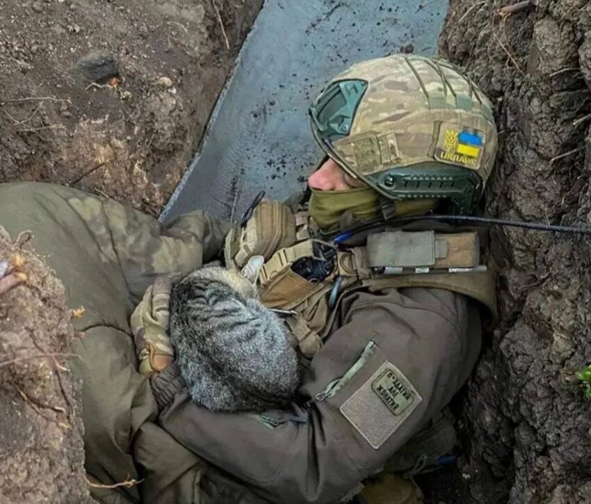 A Ukrainian soldier with a gray tabby cat.