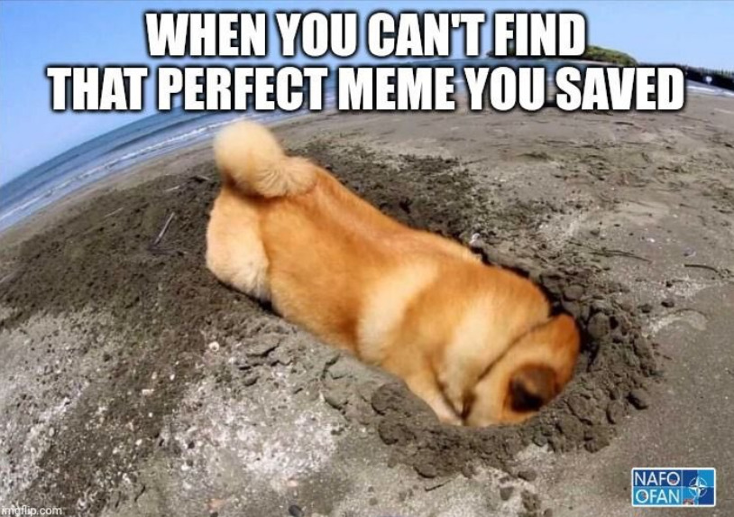 Dog face down in hole, captioned 'When you can't find that perfect meme you saved.'