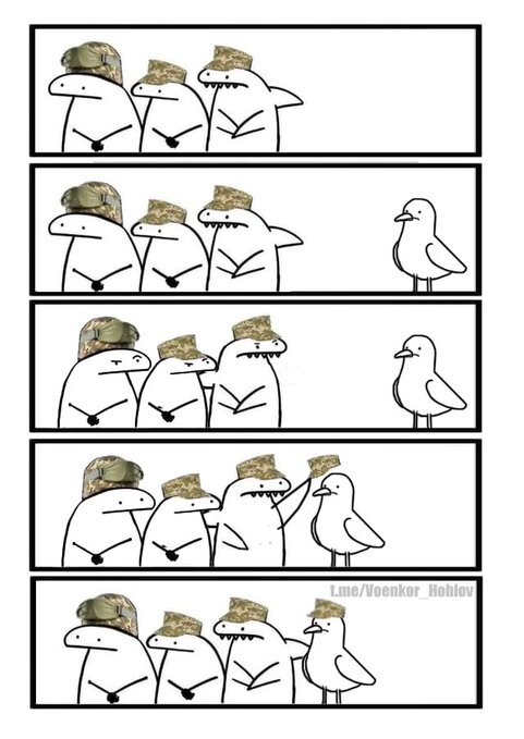 Flork of Cows gives a hat to a bird.