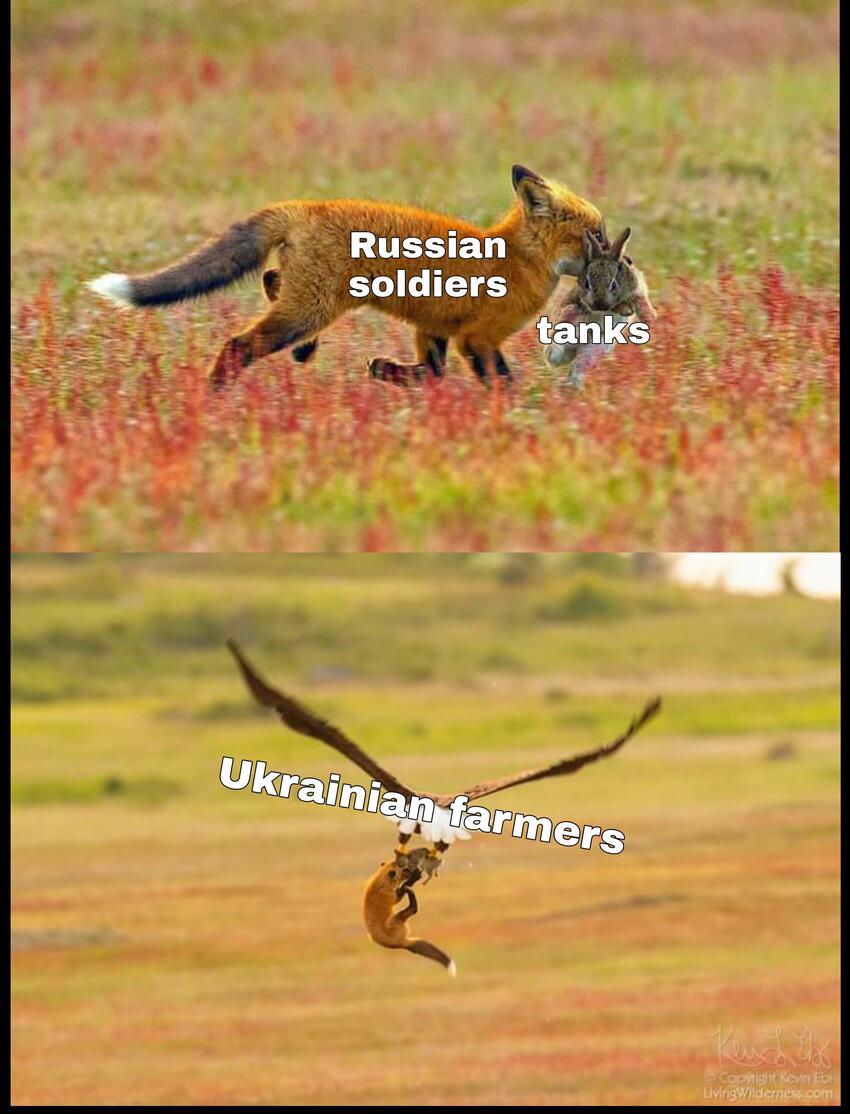 Fox (Russian soldiers) carrying tanks (rabbit), then Ukrainian farmers (hawk) pick up fox and rabbit.