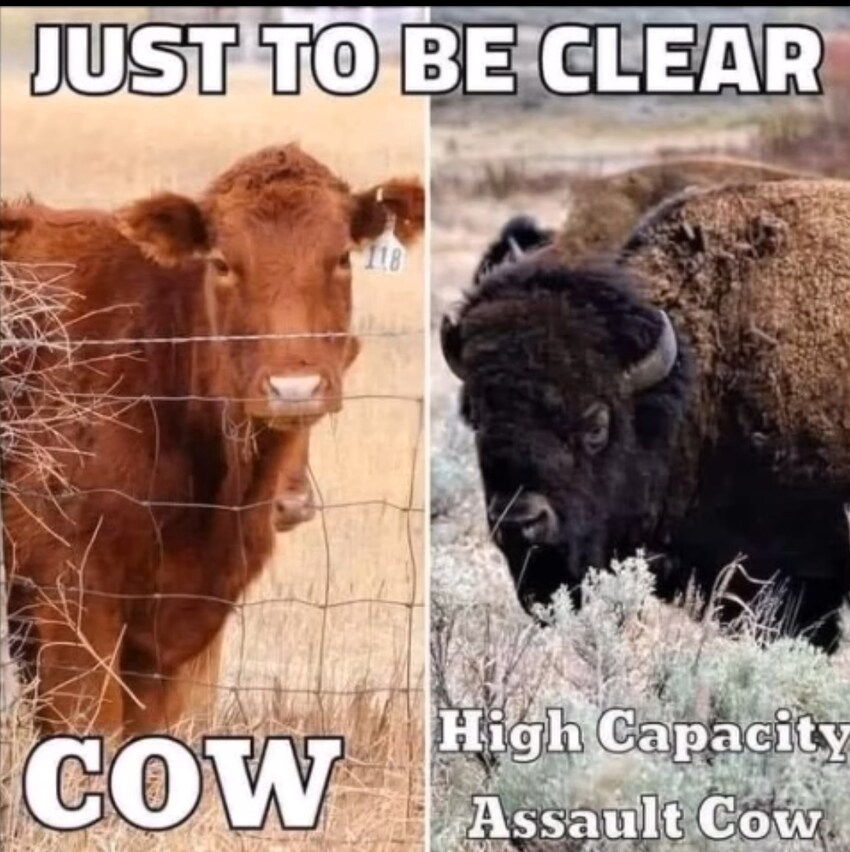 Cow: Cow. Bison: High capacity assault cow.
