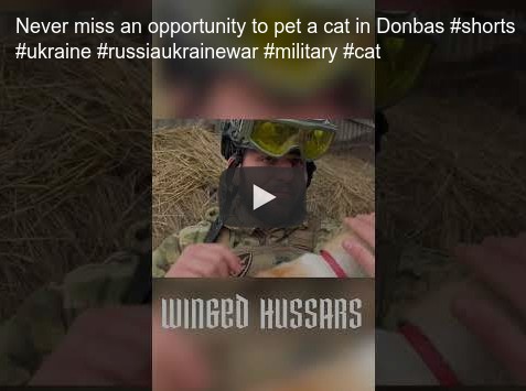 Never miss an opportunity to pet a cat in Donbas.