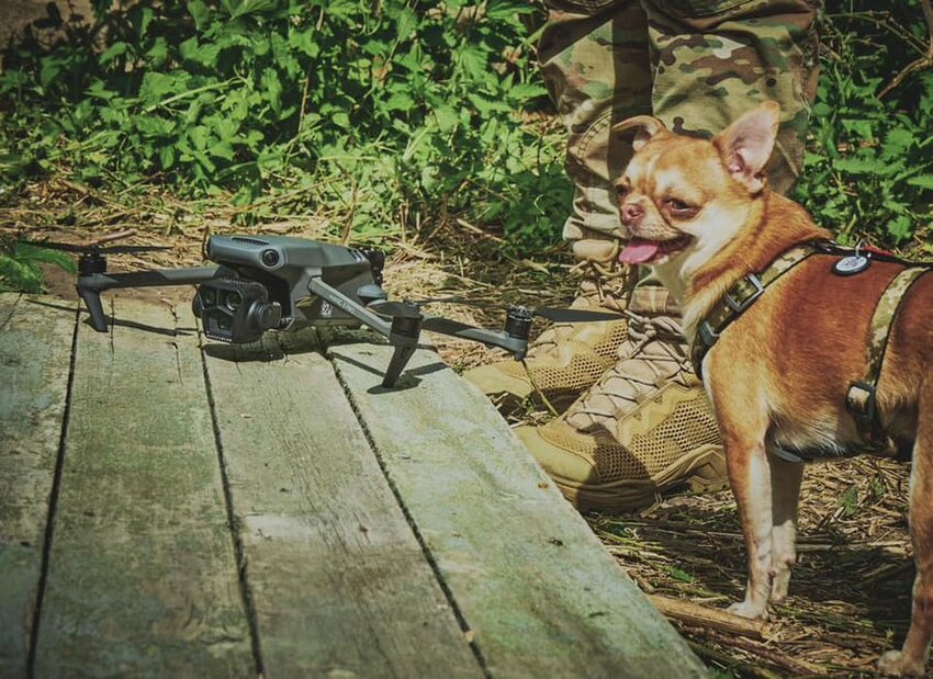 A furry pilot inspects a drone before flight (drone with dog.)