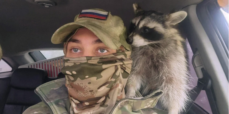 A Russian steals a raccoon.