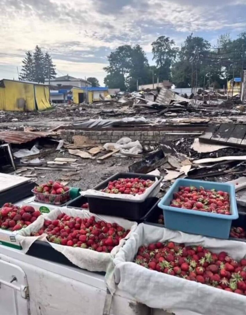 Strawberries for sale in Kharkiv, amid destruction and war.