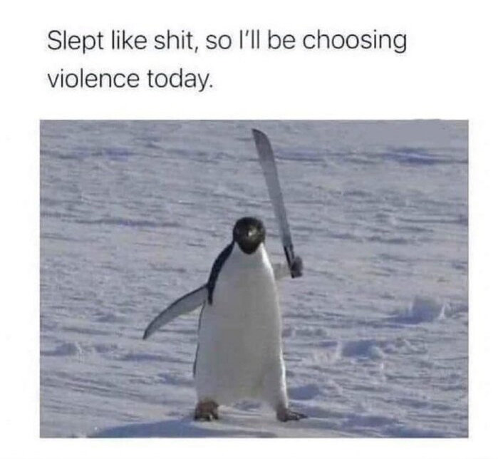 Penguin with machete says, 'Slept like shit, so I'll be choosing violence today.'