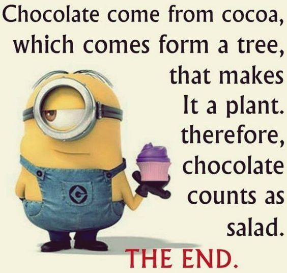 Chocolate comes from cocoa, which comes from a tree, that makes it a plant therefore chocolate counts as salad.