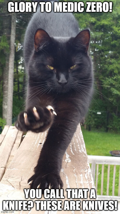 Black cat with front claws out saying 'Glory to Medic Zero! You call that a knife? These are knives!'
