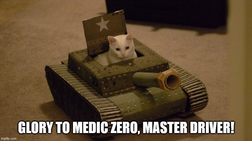 Glory to Medic Zero, master driver (cat in a cardboard tank)