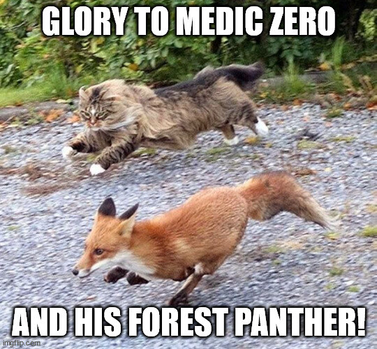 Cat running with fox, captioned 'Glory to Medic Zero and his forest panther!'