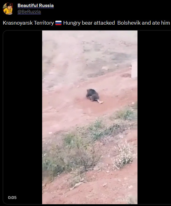 Krasnoyarsk territory, a hungry bear attacked Bolshevik and ate him.
