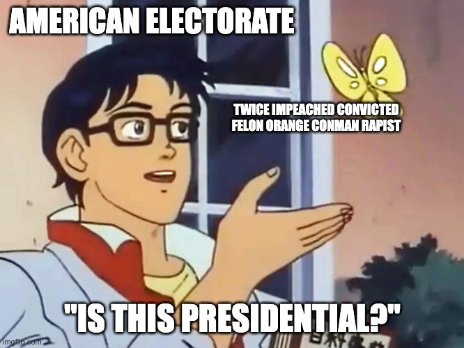 Anime guy (American electorate) looks at butterfly (twice impeached convicted felon orange con-man rapist) and says, 'Is this Presidential?'