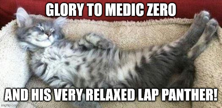 Glory to Medic Zero and his very relaxed lap panther!