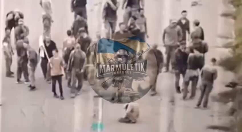 Russians surrendering in Kursk.