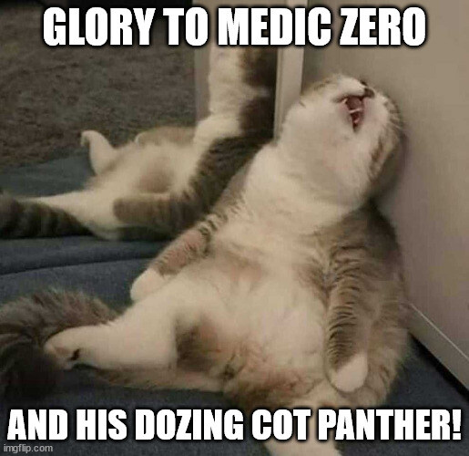 Collapsed derpy cat, captioned 'Glory to Medic Zero and his dozing cot panther!'
