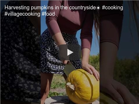 Luba from Ukraine harvests pumpkins.