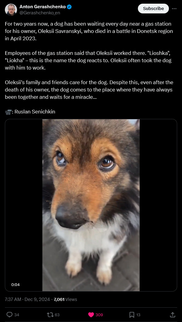 A dog waits for his owner, who died in 2023, in Ukraine.