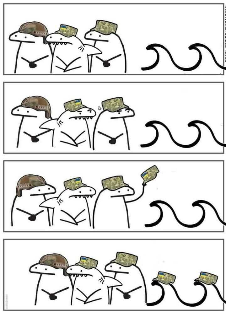 Flork of Cows gives a hat to a wave.