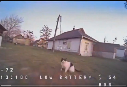 A Ukrainian cat defeats an FPV drone.