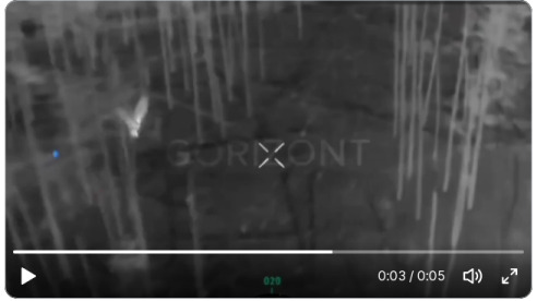 An owl takes out a Russian drone.