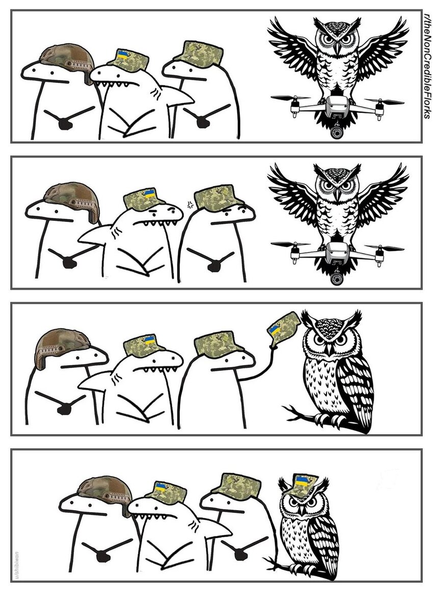 Flork of Cows gives a hat to an owl.