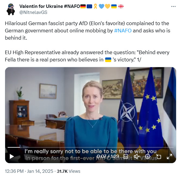 German fascist party AfD complained to the German government about online mobbing by #NAFO and asked who is behind it. EU High Representative already answered the question: 'Behind every fella there is a real person who believes in Ukraine's victory.'
