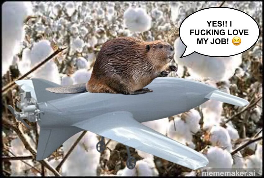 Beaver sitting on a Beaver drone surrounded by cotton, saying, 'Yes! I fucking love my job!'