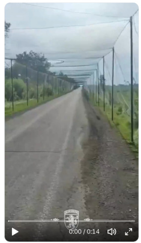 Ukranian soldiers rescued a deer that was trapped in an anti-drone net.