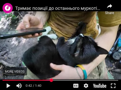 Ukrainian soldiers adopted a tuxedo cat.