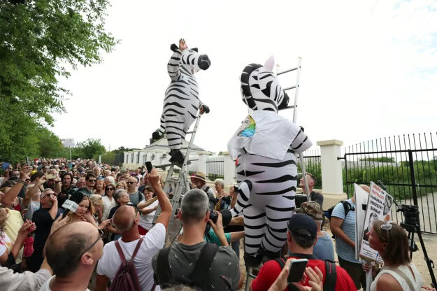 Scandal where Hungary's PM Orban had exotic animals including zebras and expensive furnishings.